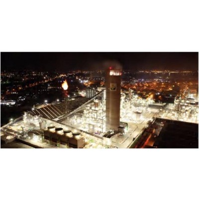 730 ktpa Synthetic Ammonia and 600 ktpa Urea project for Indonesian Gresk Petroleum Company